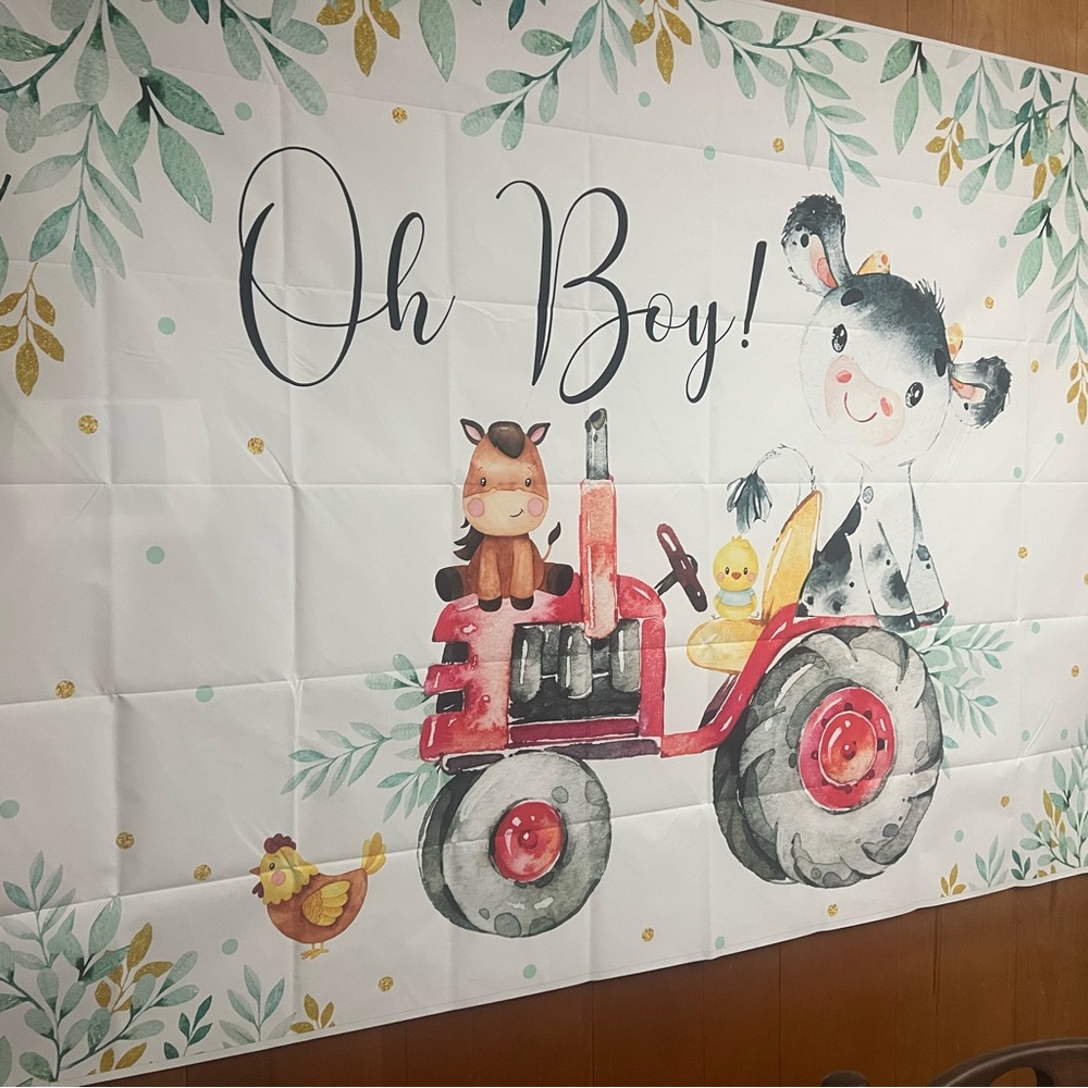 Babyshower/birthday backdrop